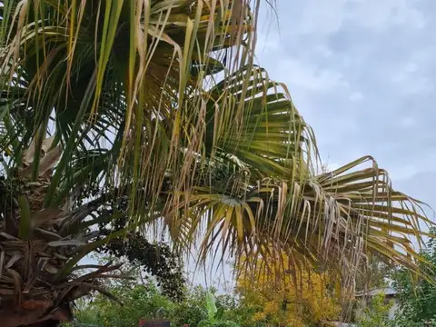 Terreno en Venta de 433,0 m2