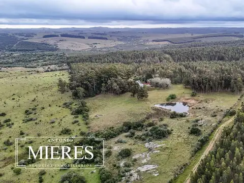 Chacra de 5 ha en venta con casco del siglo XVIII reformado, Maldonado Uruguay.