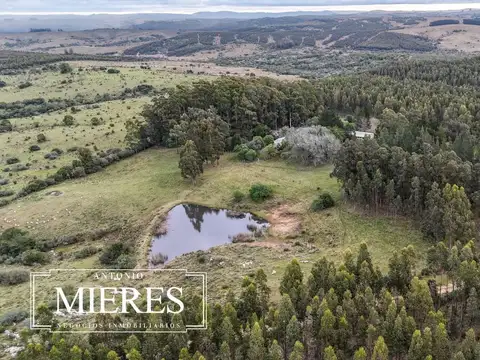 Quinta en Venta en Aigua, USD 250.000