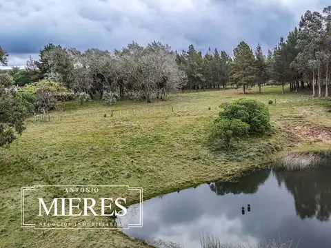 Quinta en Venta en Aigua, USD 250.000