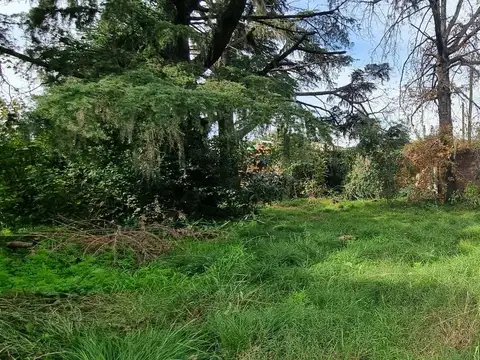 Terreno en Venta 13  mts Fondo