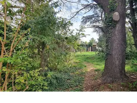 Terreno en Venta 17  mts Frente