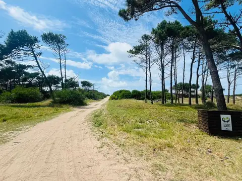 VENTA LOTE VILLA ROBLES BARRIO SERENA