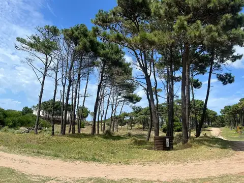Terreno en Venta de 1170,0 m2