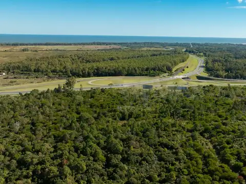 Campo en Venta en Sierra de las Ánimas, Ladera sur