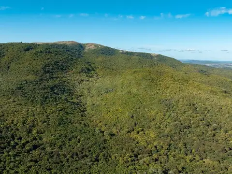 Campo en Venta en Sierra de las Ánimas, Ladera sur