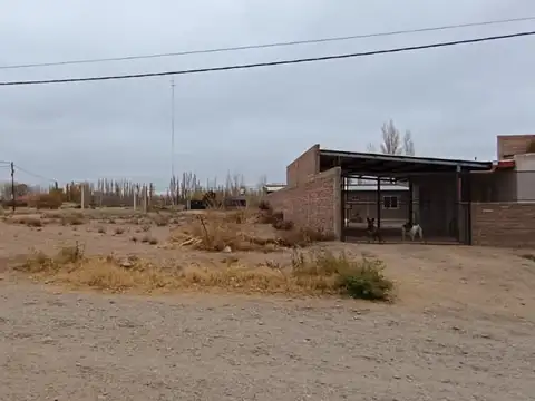 Lote 300 m2 todos los servicios Senillosa