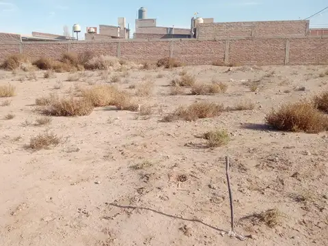 Lote 300 m2 todos los servicios Senillosa