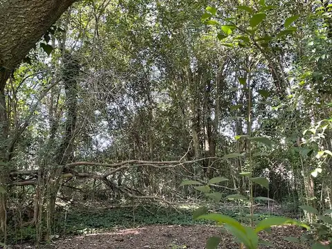 LOS AROMOS MANZANA 87 LOTE 15