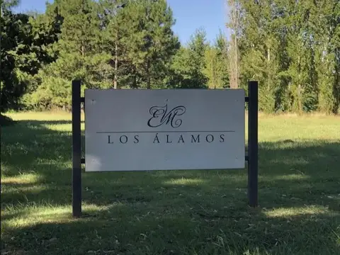 Gran Oportunidad!Lote de 3900m2 en Los Álamos,uno de los sectores más bellos de Estancia Villa María