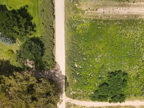 Terreno en Venta de 290,0 m2