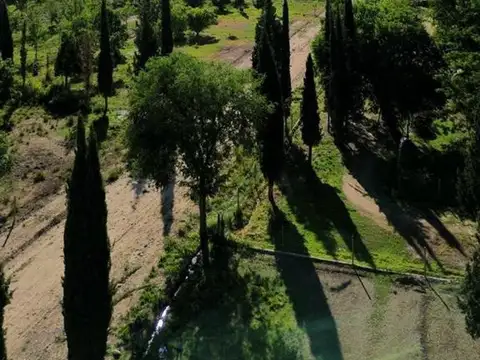 Terreno en Venta en Vistalba, Lujan de Cuyo
