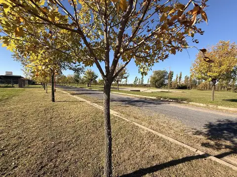 Terreno en Venta de 626,0 m2