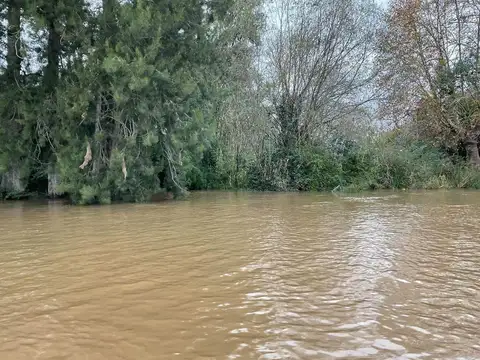 VENTA CAMPO SECCION I RIO PARANÁ Y CARABELAS IDEAL INVERSOR
