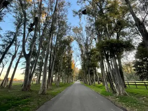 Terreno en Venta de 1500,0 m2