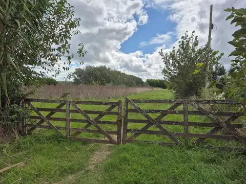 CAMPO EN VENTA ARANA DE 14,38 HECTÁREAS