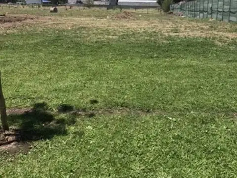 TERRENO PARA DESARROLLO 12000 M2 EN MASCHWITZ