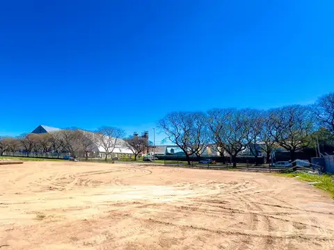 Galpon en Alquiler A Estrenar