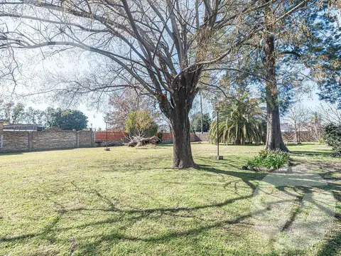 Local en Venta 60 años