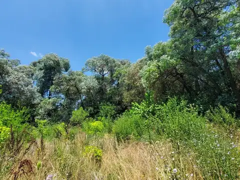 Lote de 2500 m2 en La Bota, Benavidez a la venta