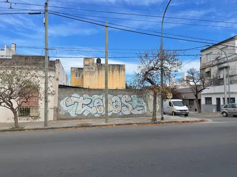 Larrea 1600