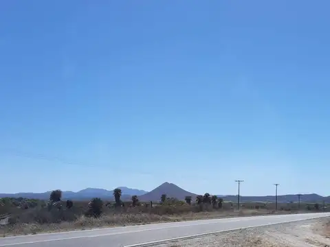 Ruta 15