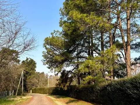 Venta - Lote Comercial - Barrio Los Pinos - Exaltación de la Cruz