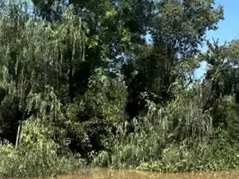 Canal Gobernador Arana , Piso 0