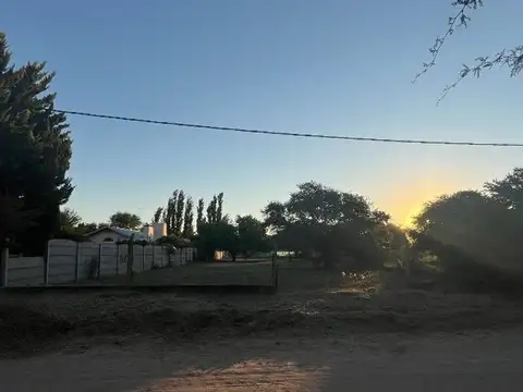 Martín Pescador 700