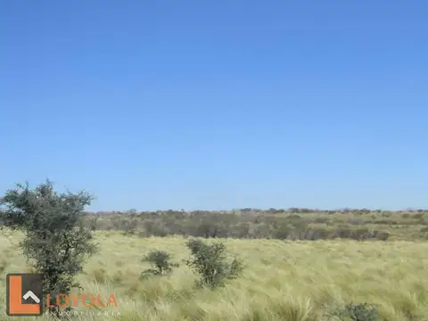 Ruta 41