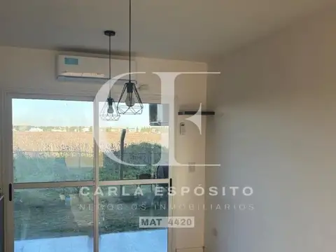 Casuarinas