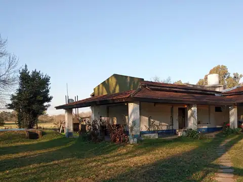 Campo en Zelaya