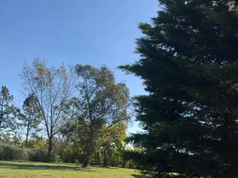 Terreno en Venta de 1350,0 m2