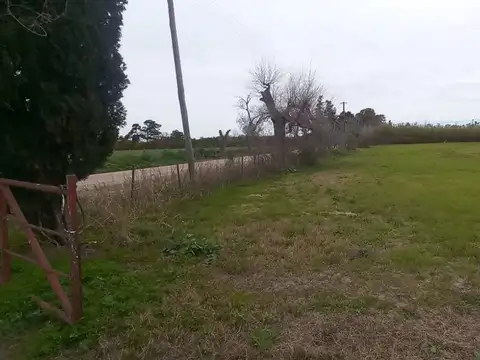 Terreno en Venta de 800,0 m2