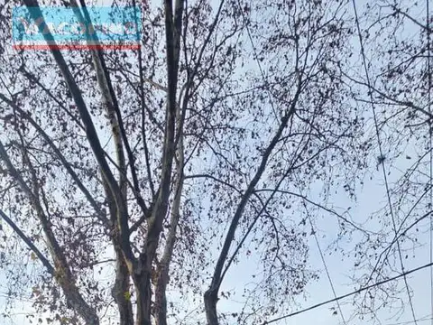 Marcos Paz  al 2200