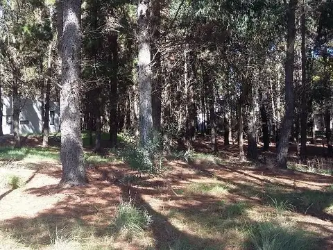 Terreno en Venta, FOT 0,6