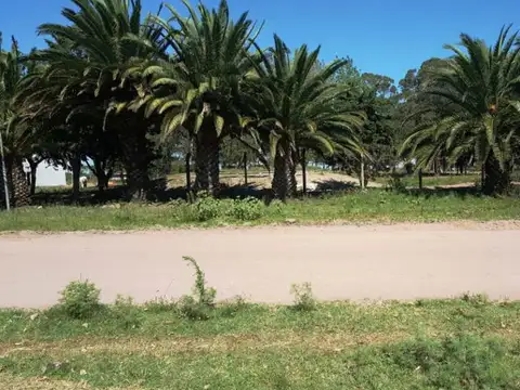 Terreno en Venta 10  mts Frente