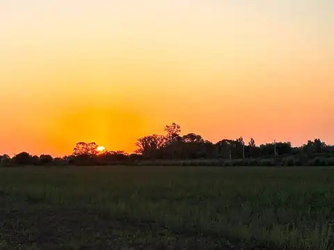 1 Ha. Chacras de La Vanguardia