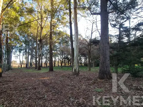 Terreno en Venta 68  mts Frente