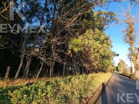 Terreno en venta - La Plata