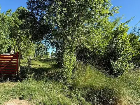 VENTA TERRENO EN CHINA MUERTA, PLOTTIER