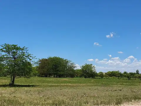 Ruta 26