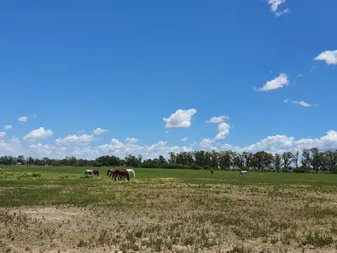 Terreno en Venta de 346007,0 m2