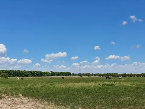 Terreno en Venta 320  mts Frente