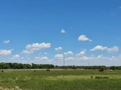 Terreno en Venta 900  mts Fondo