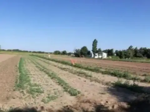 Terreno en Venta de 7500,0 m2