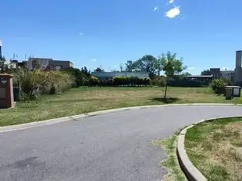 Old Man Barrio Harás Santa María 100