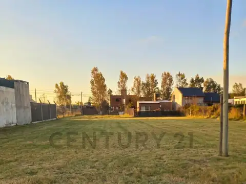 Terreno en Venta 12  mts Frente