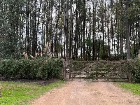 Terreno en Estancia Estrella Federal, Ramallo