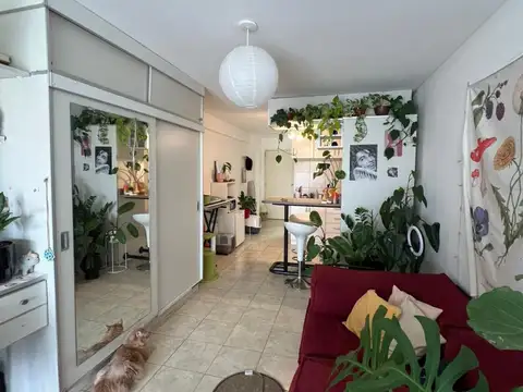 Departamento de 1 ambiente en Alquiler en Chacarita
